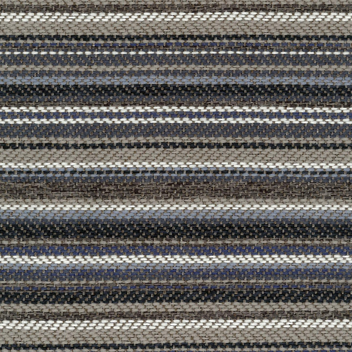 Riga 36