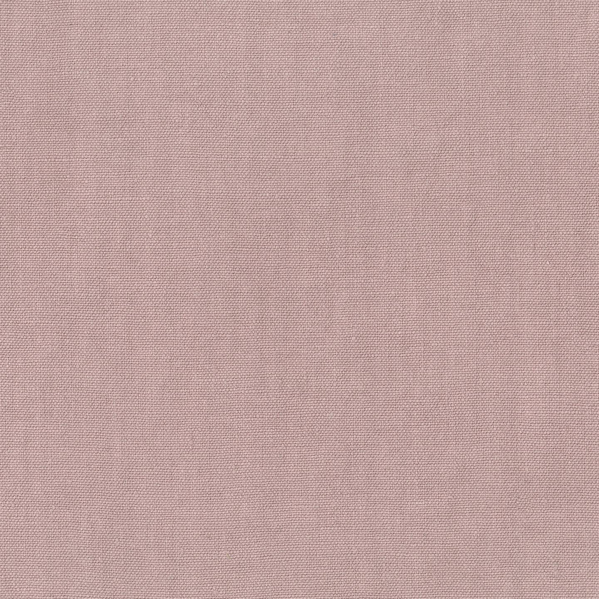 Sahara 03