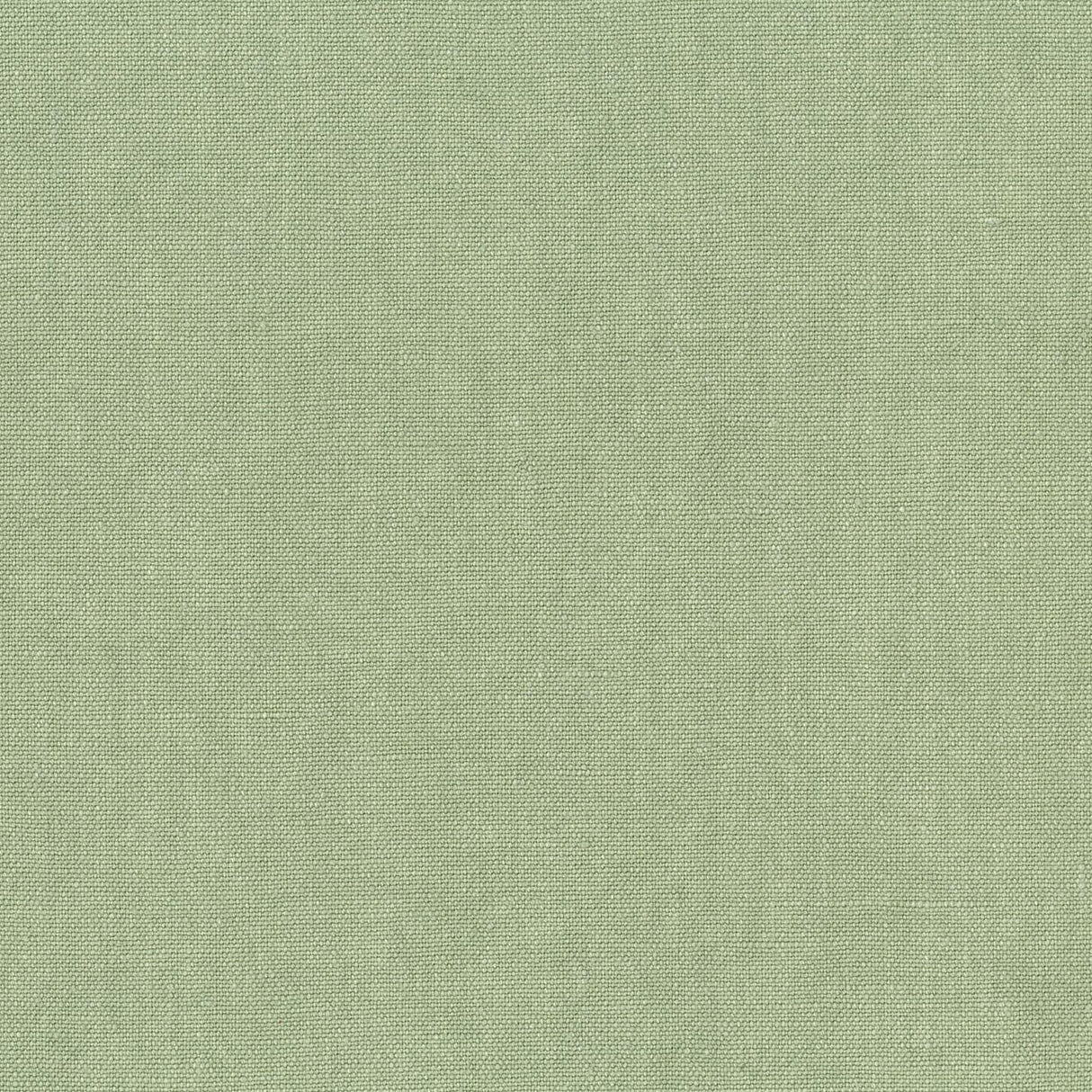 Sahara 08