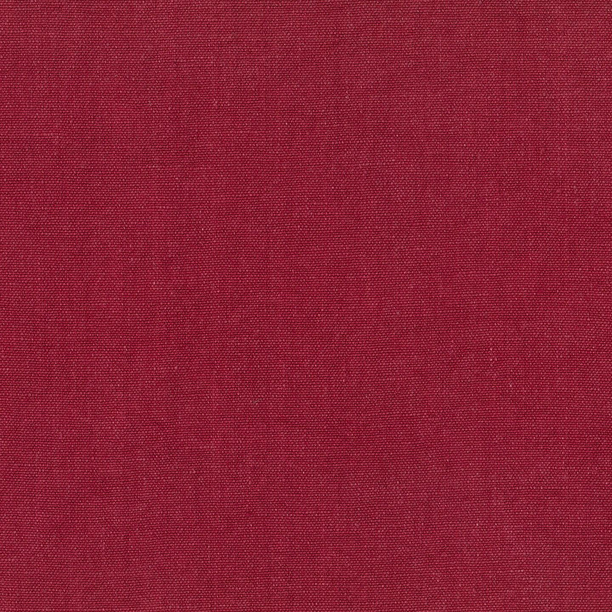 Sahara 33