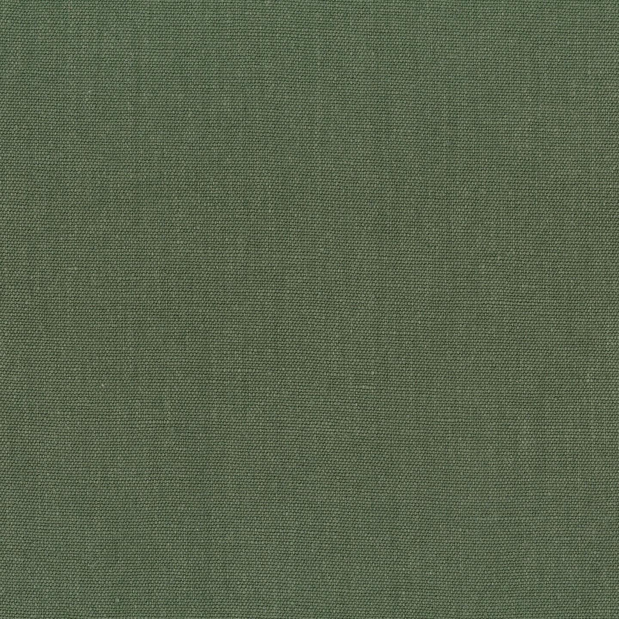 Sahara 38