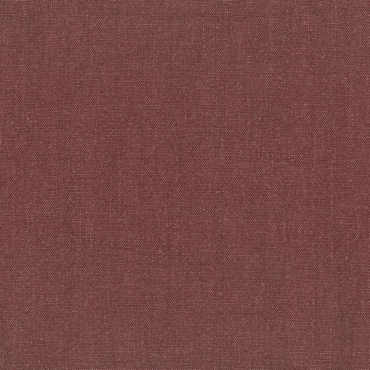 Sahara 43