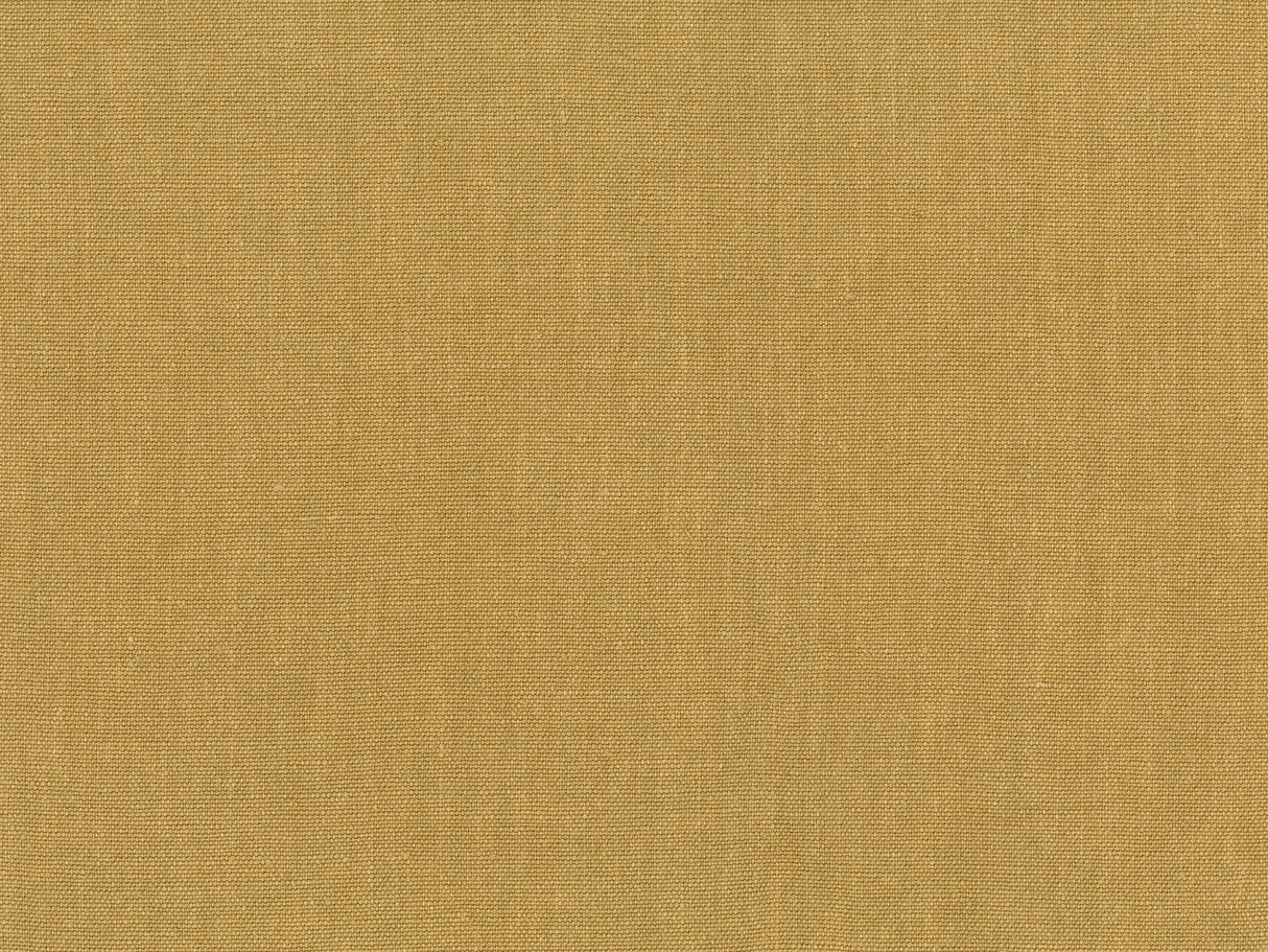 Sahara 45