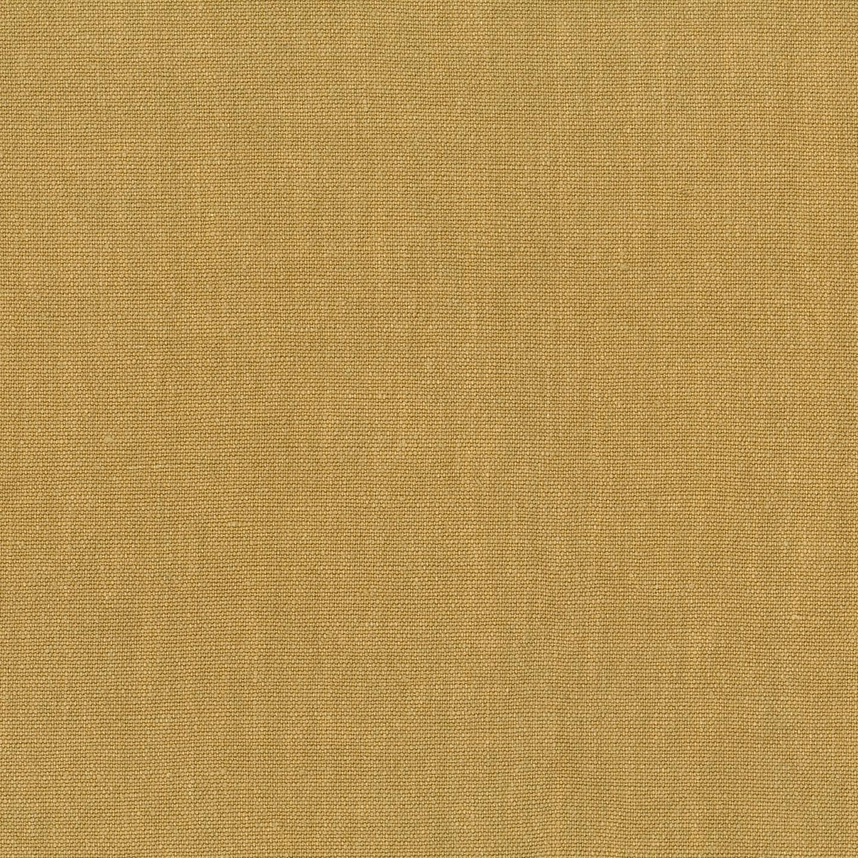 Sahara 45