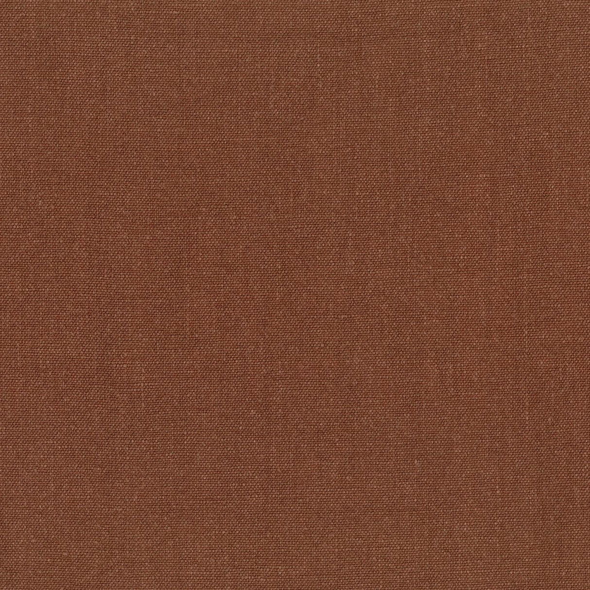Sahara 49