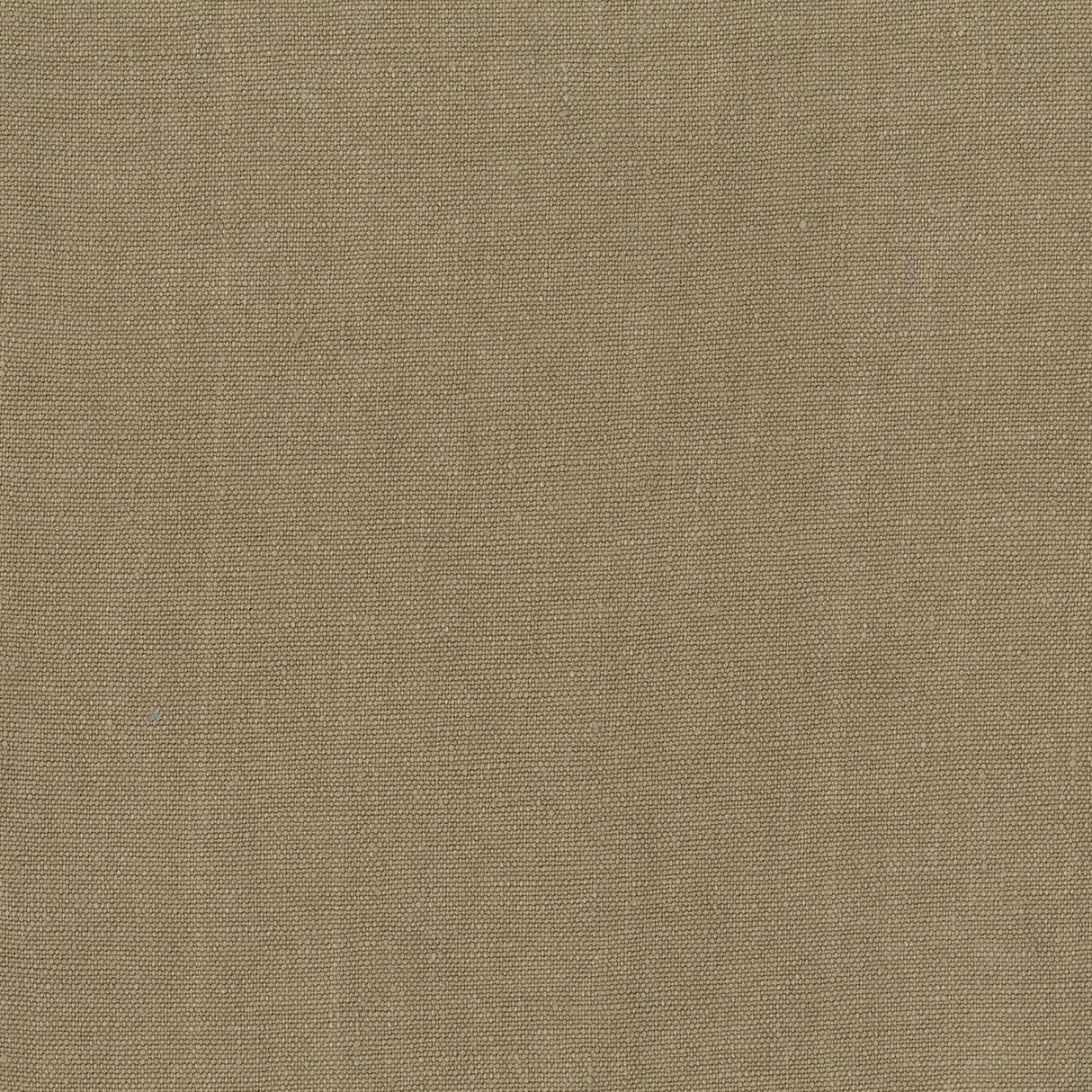 Sahara 54