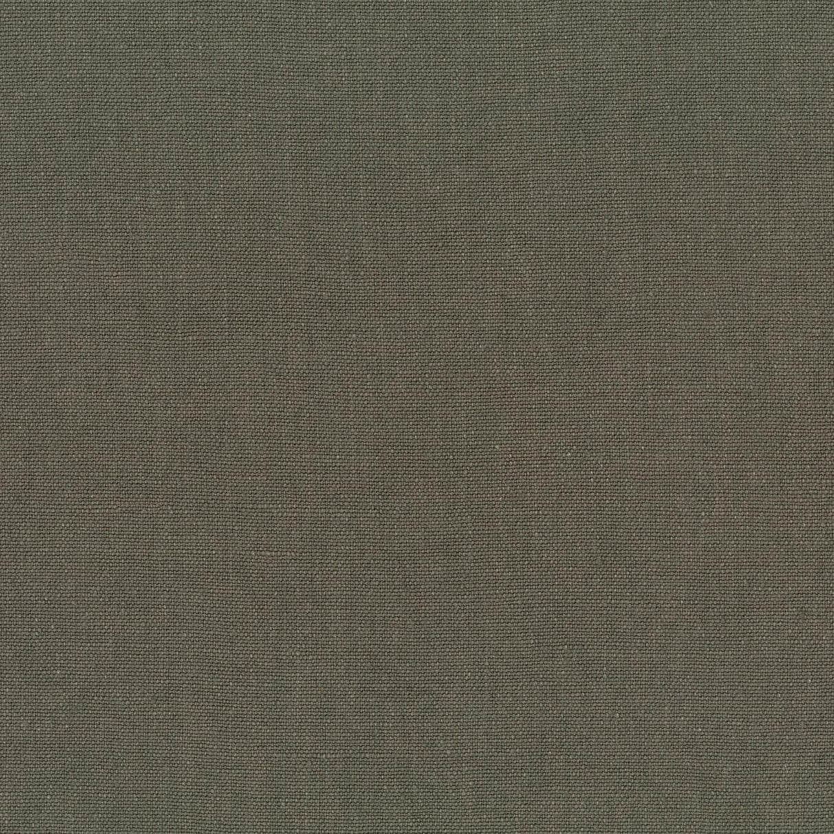 Sahara 74