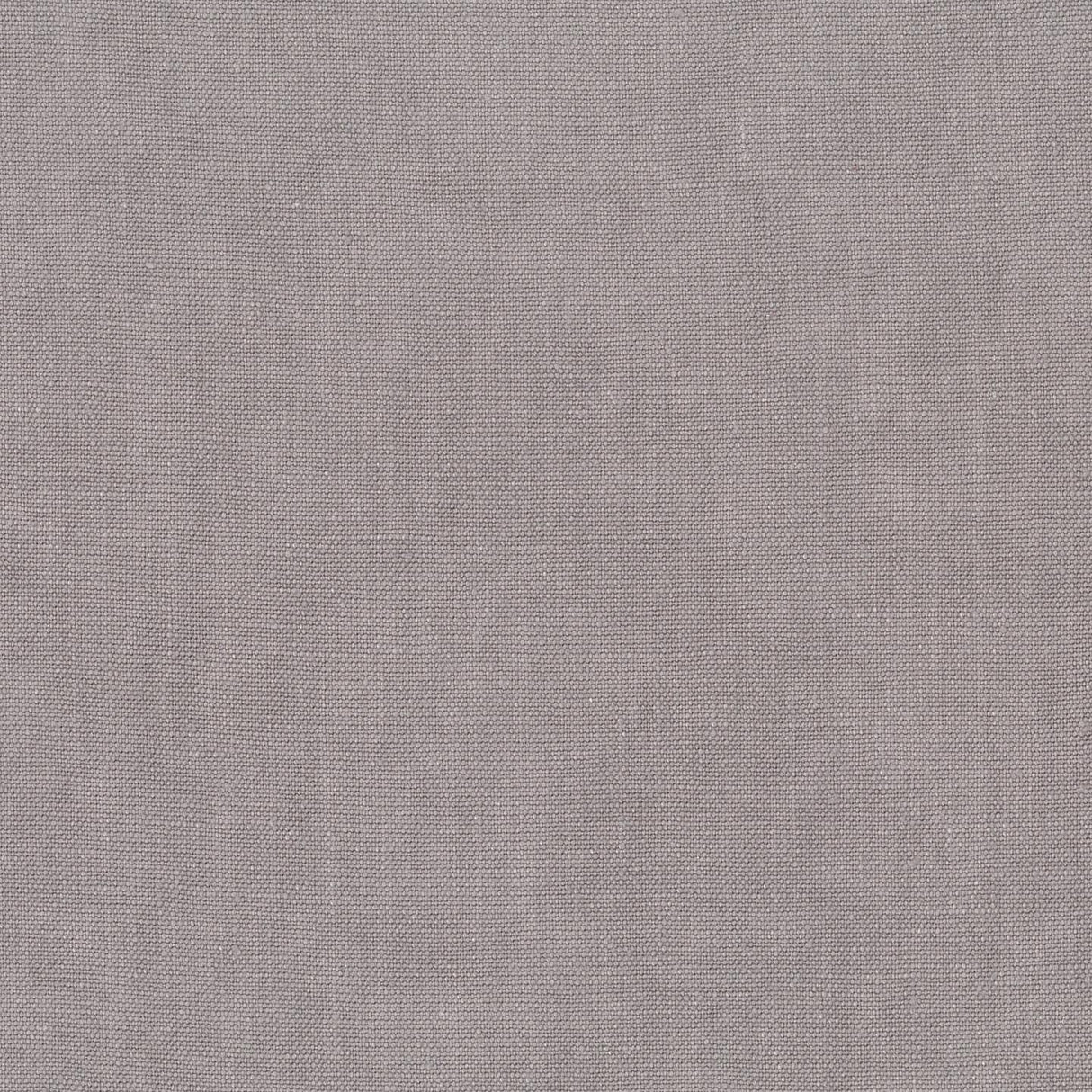 Sahara 79