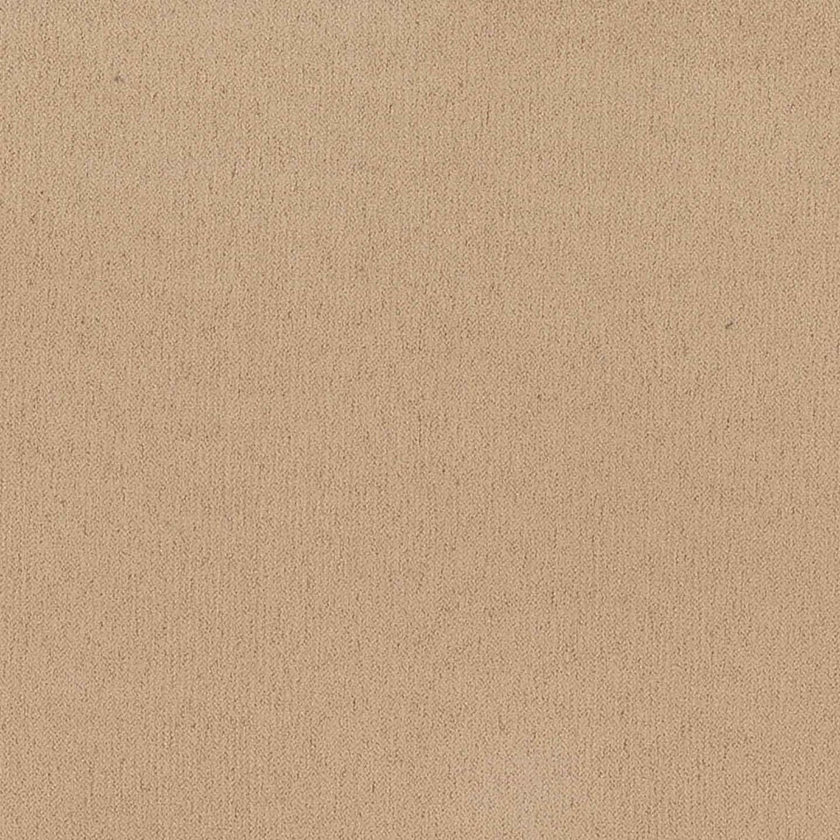 Sand 19