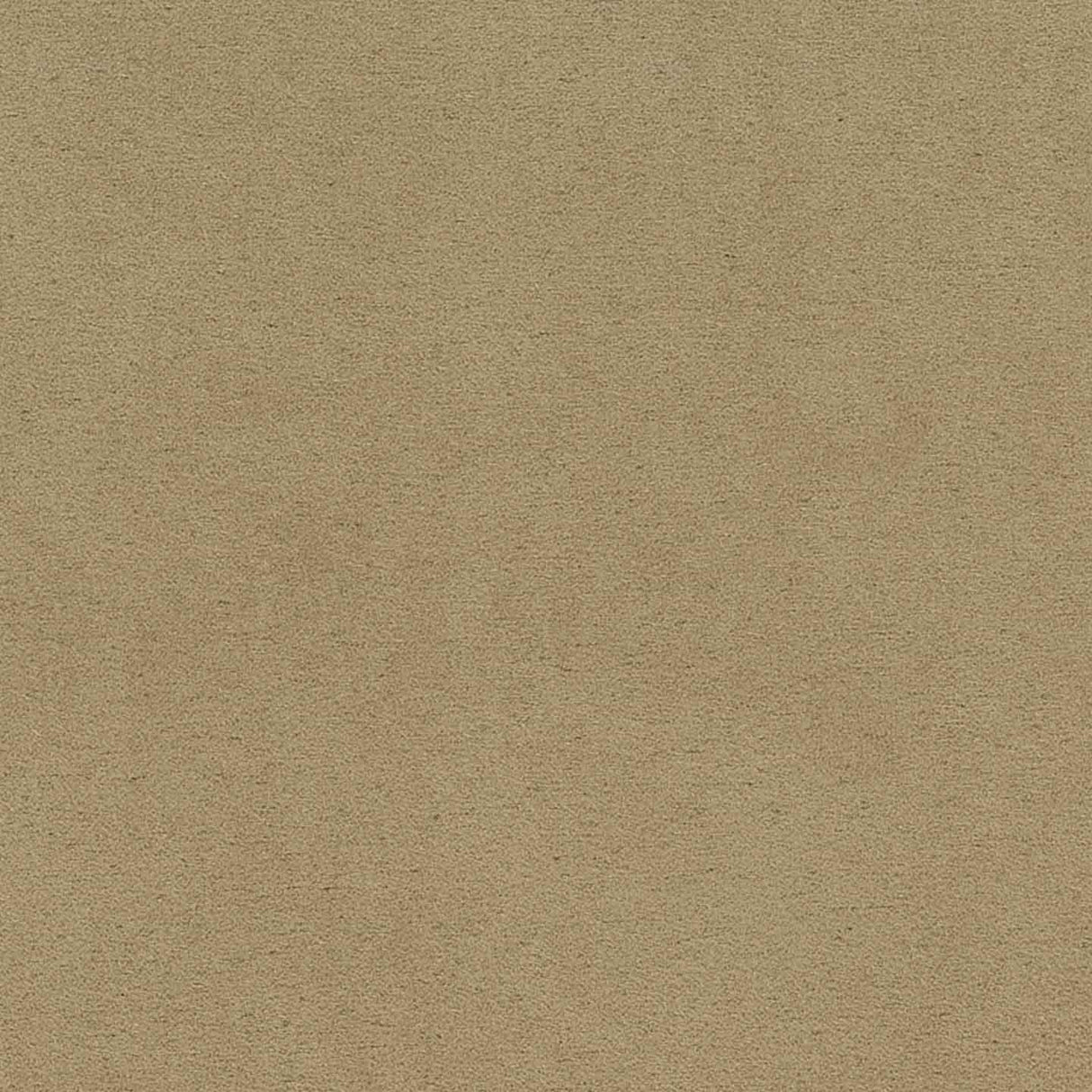 Sand 24