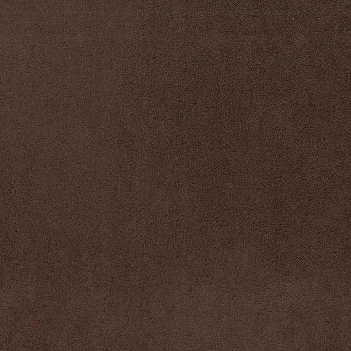 Sand 44