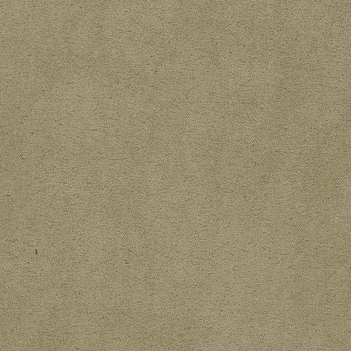 Sand 54