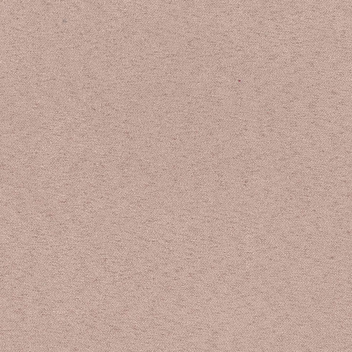 Sand 79