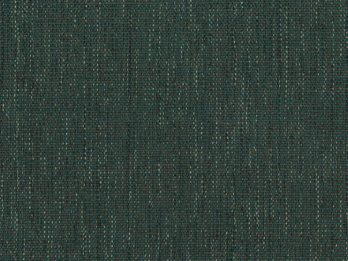 Sense 58