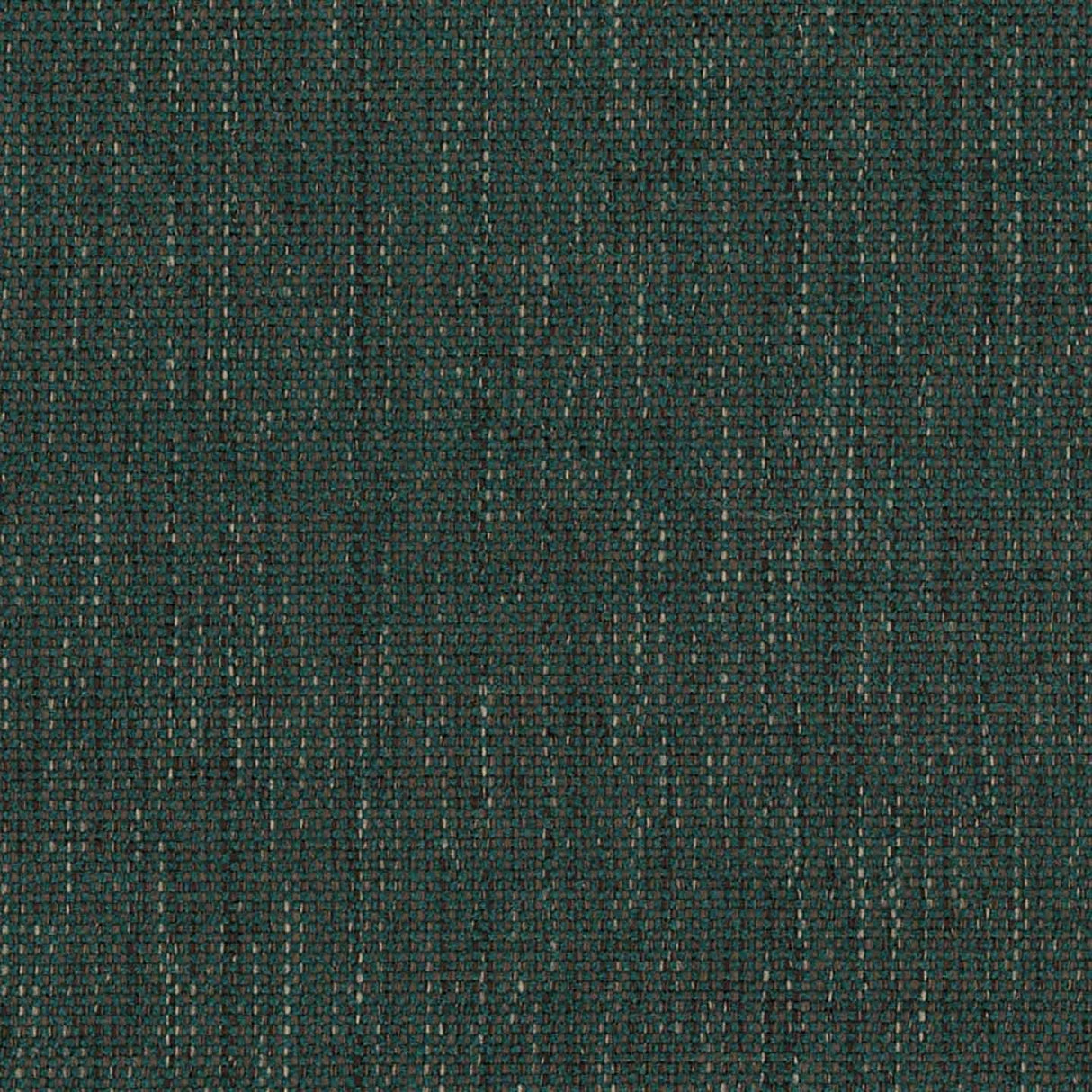 Sense 58