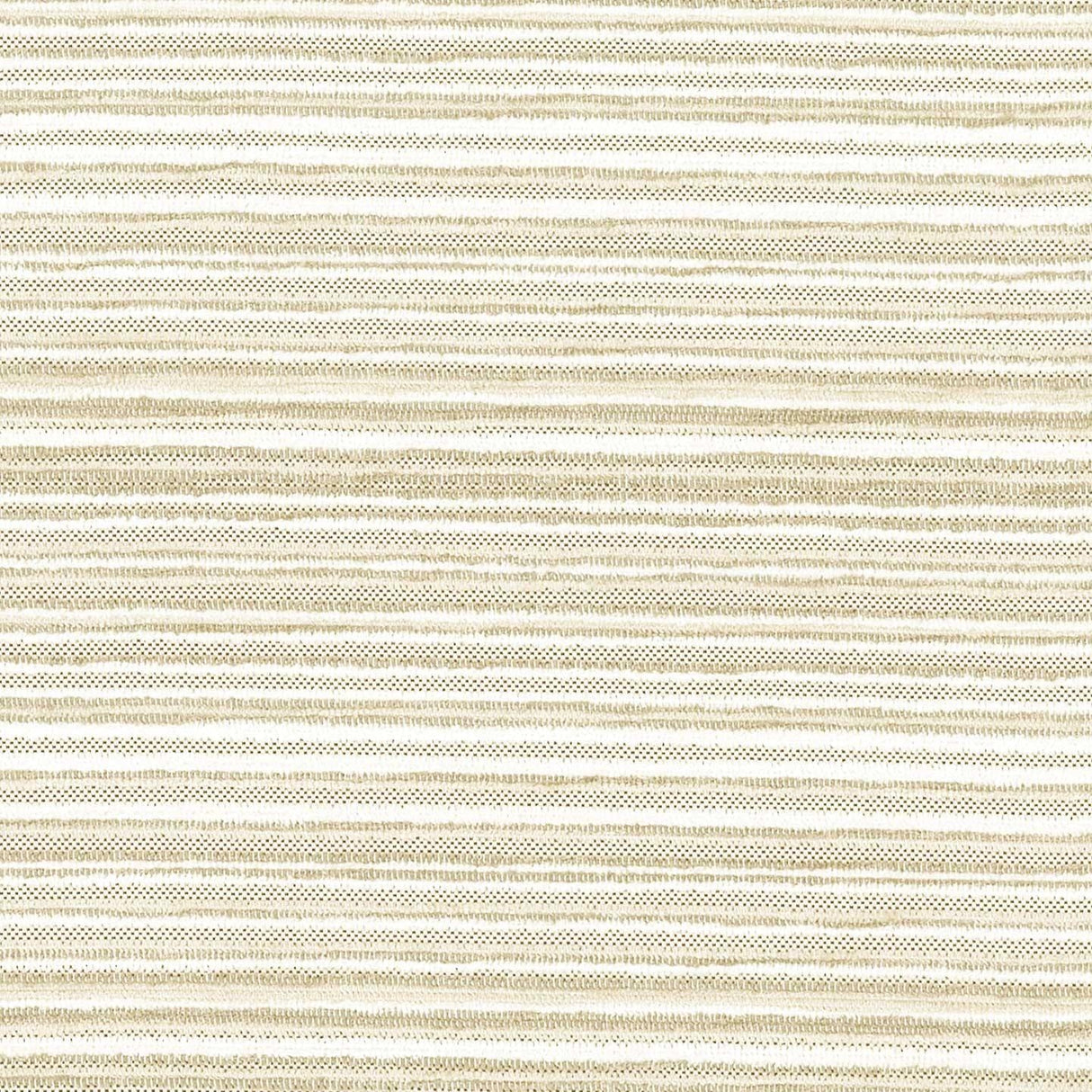 Stripy 04