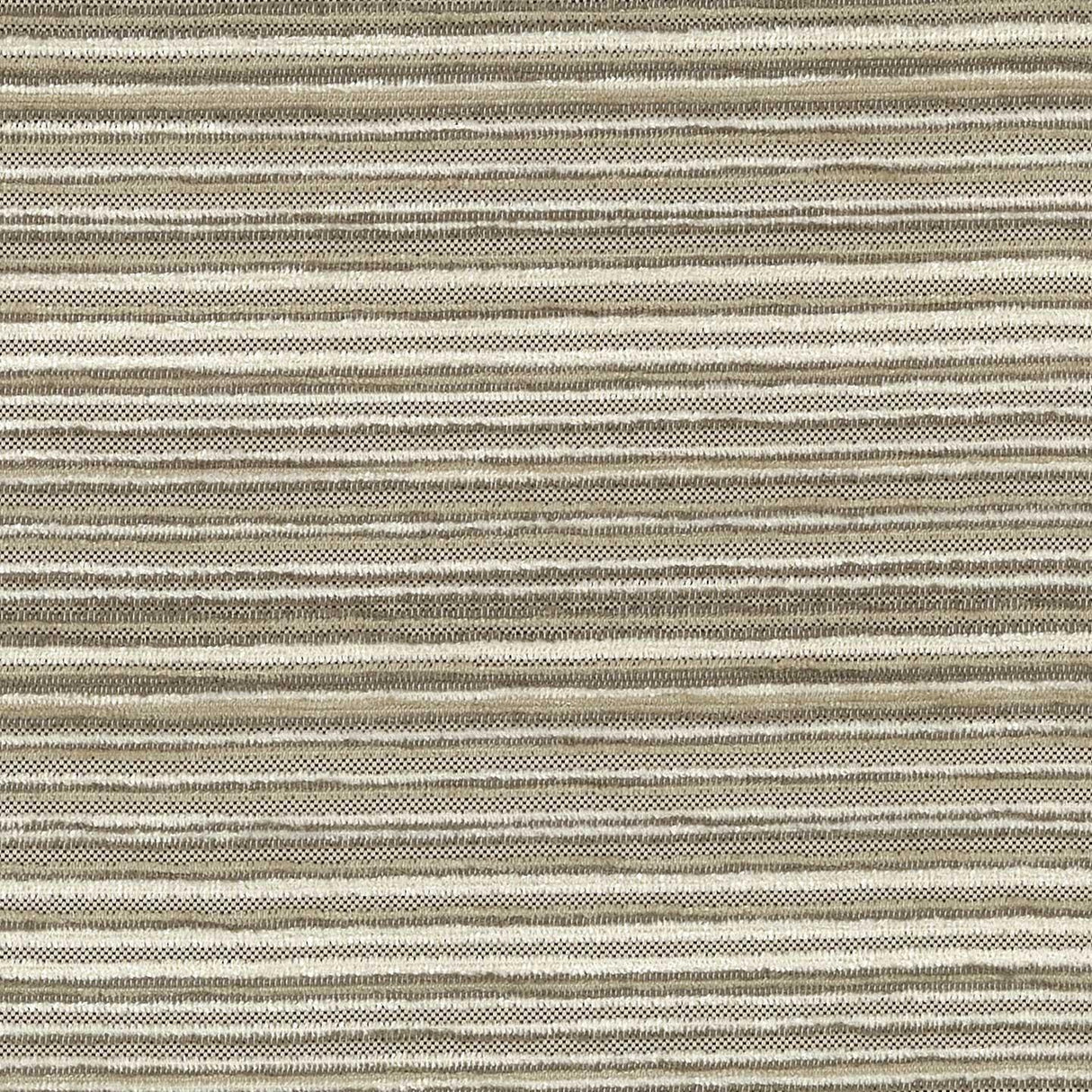 Stripy 24