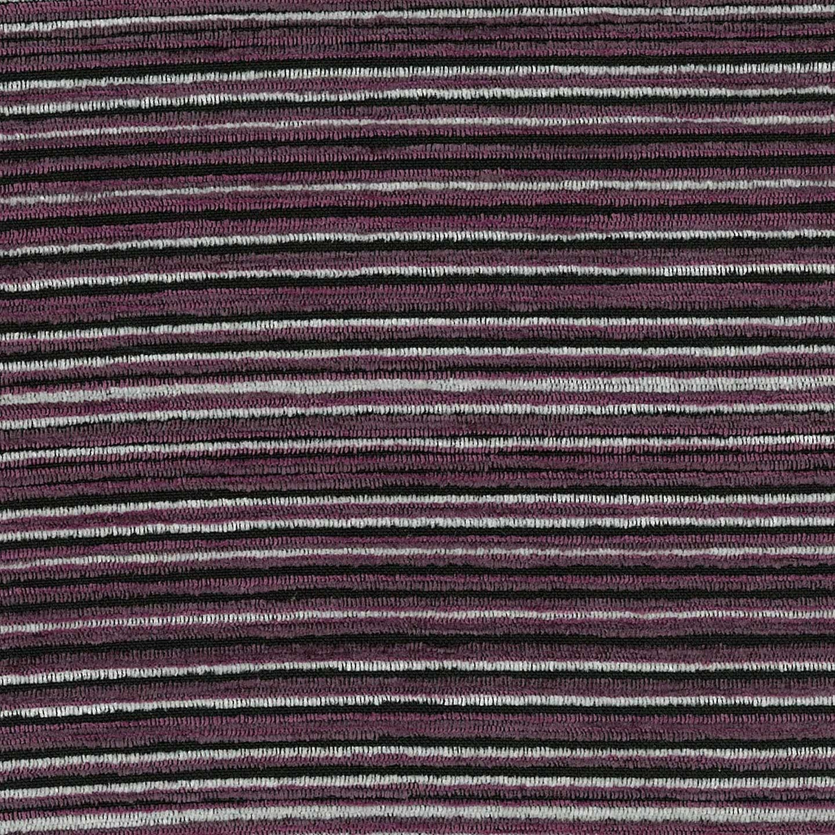 Stripy 59