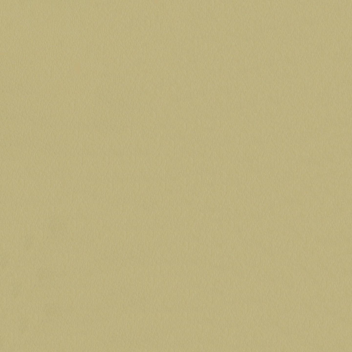 Touch 605025