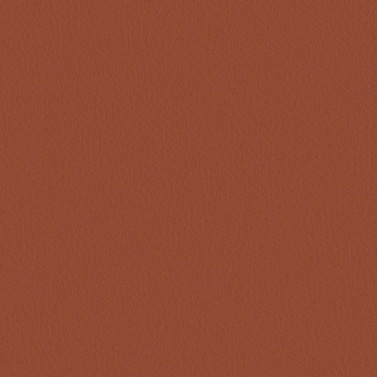 Touch 616049
