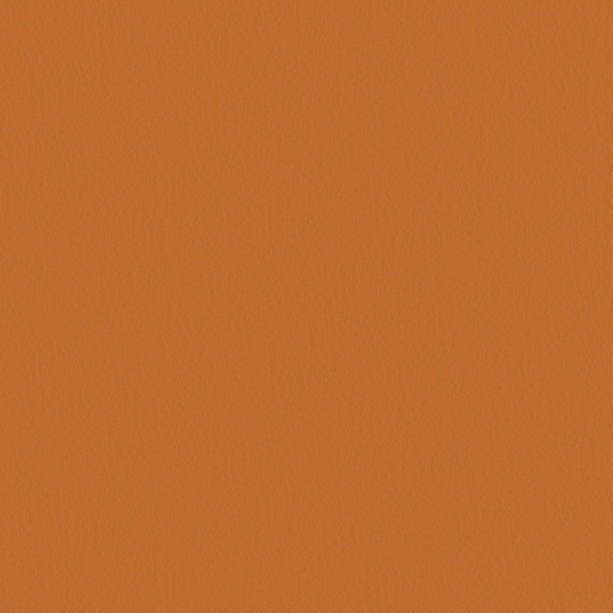 Touch 618029