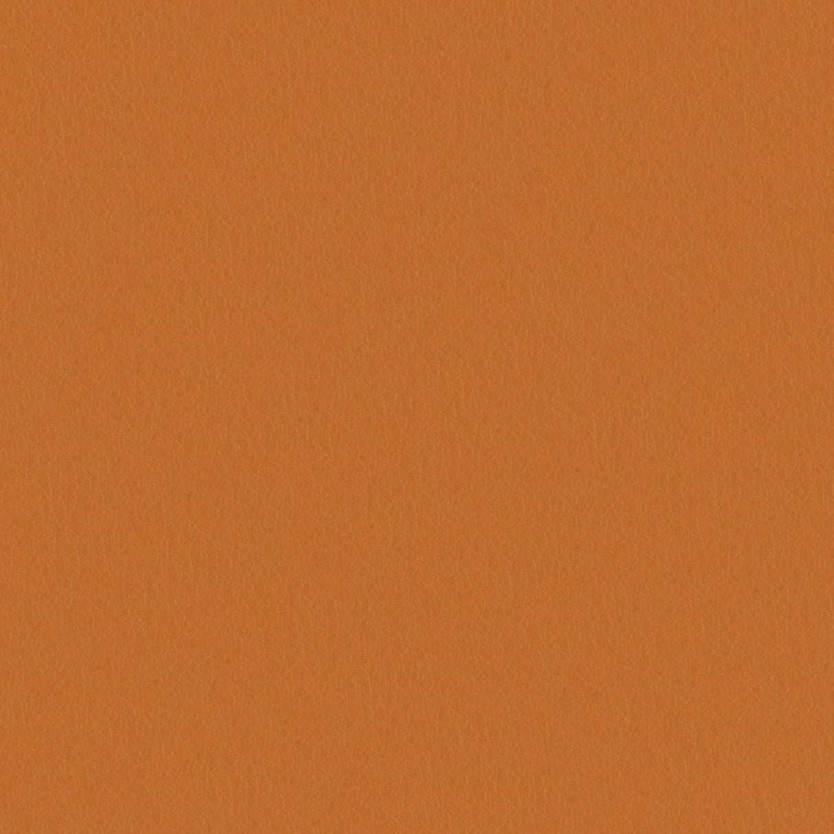 Touch 618029