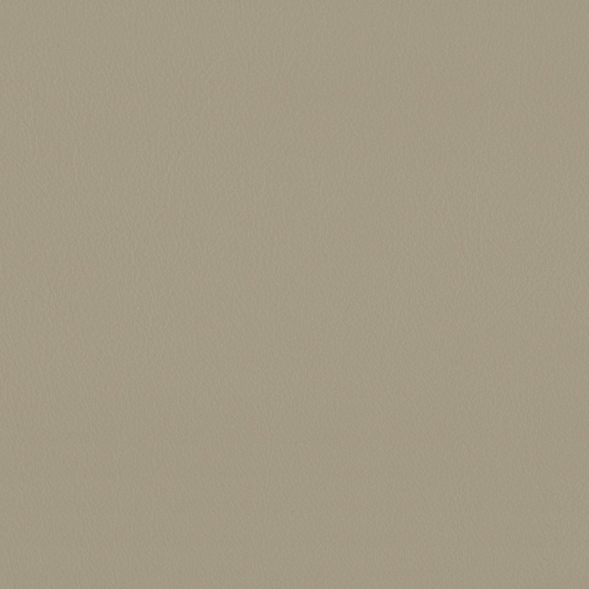 Touch 629084