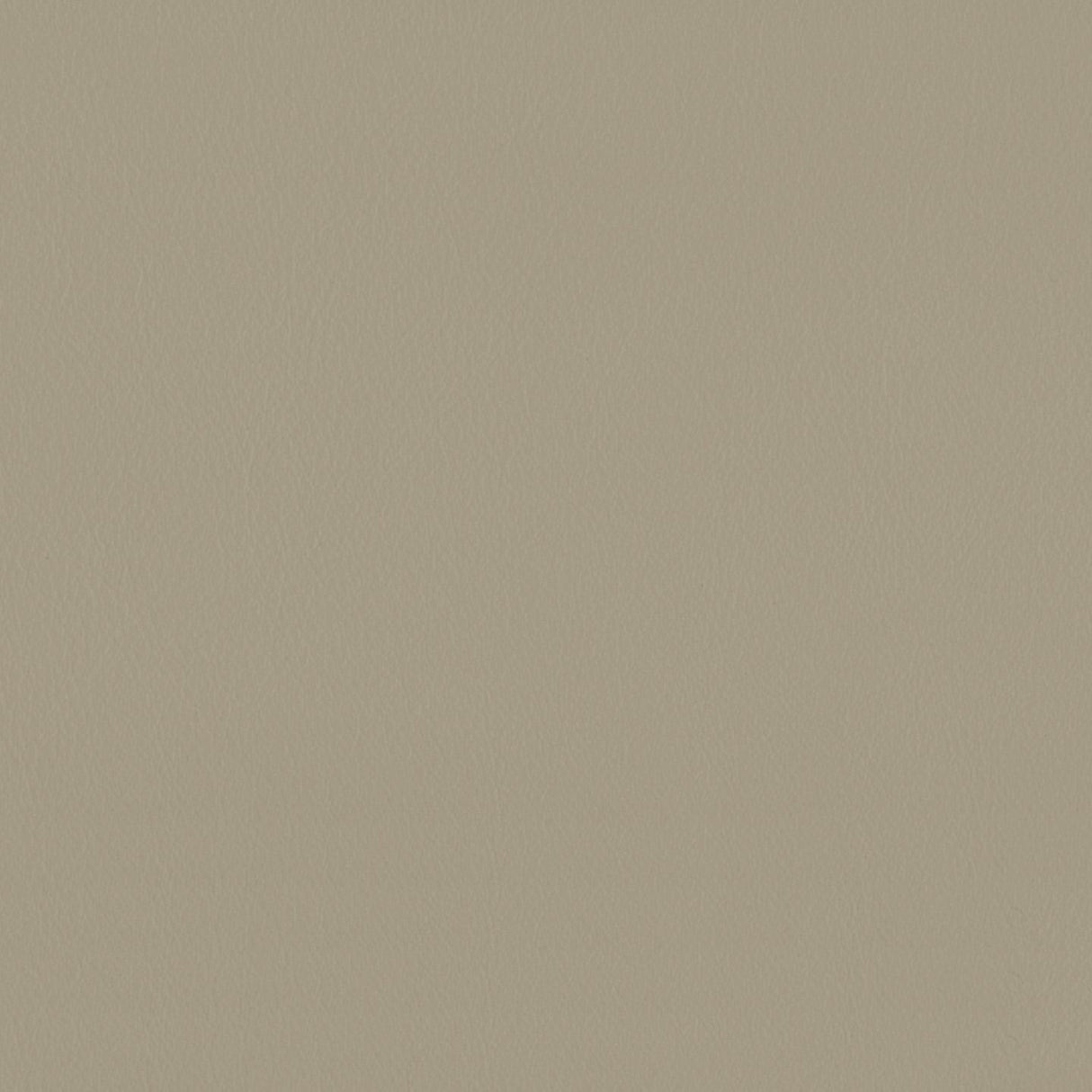 Touch 629084