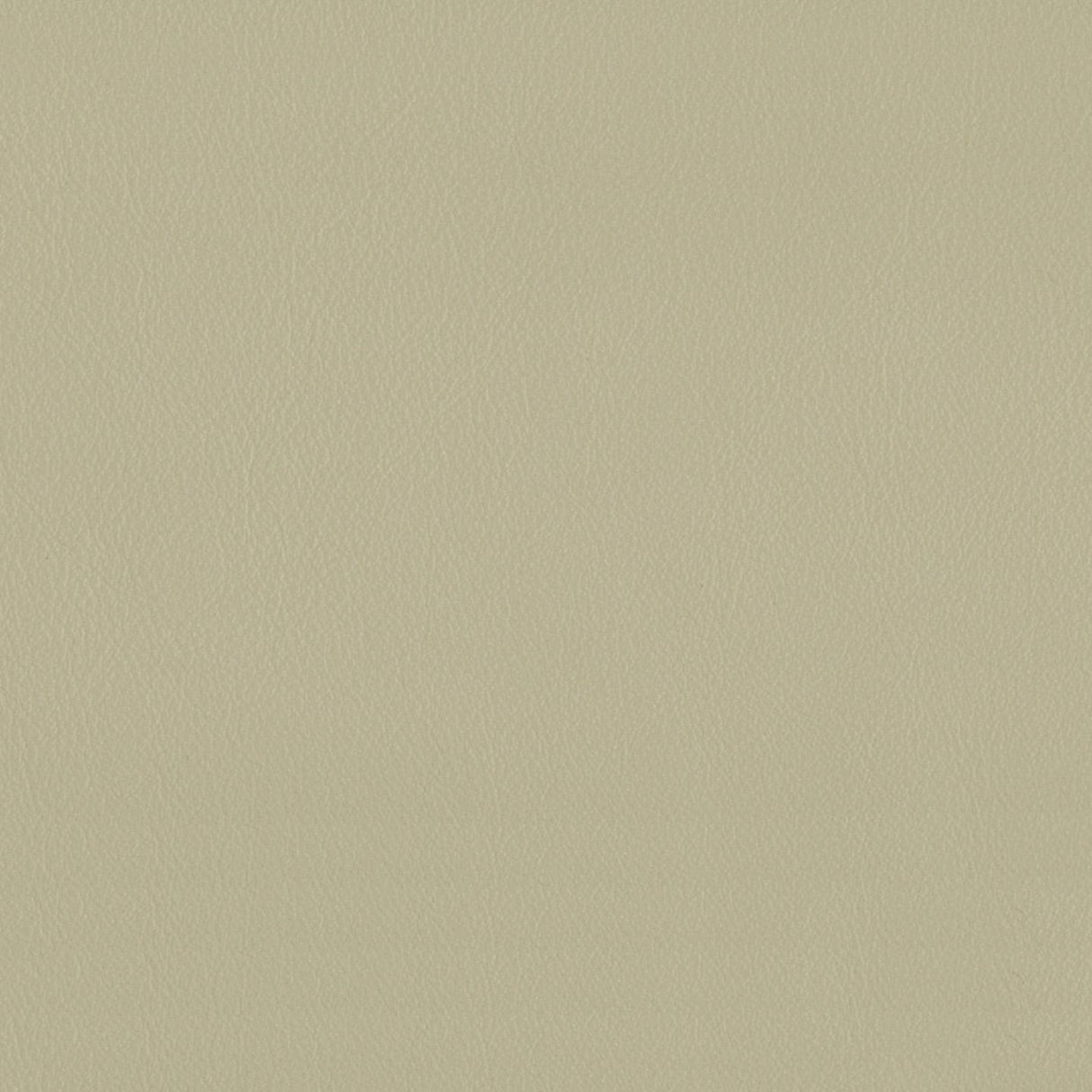 Touch 639074