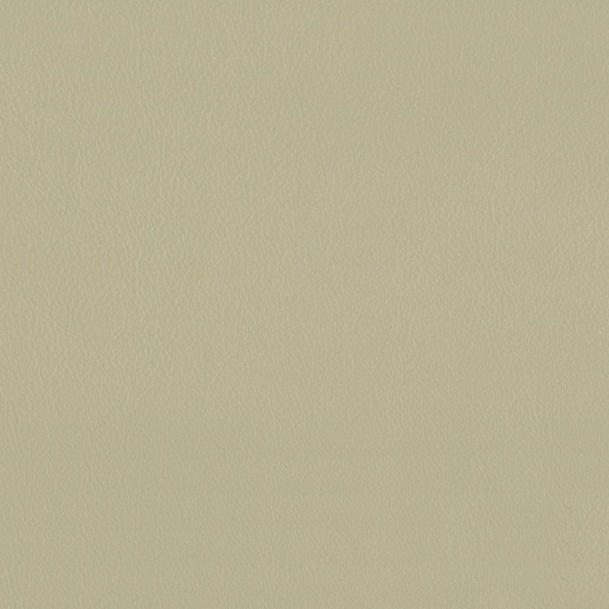 Touch 639074