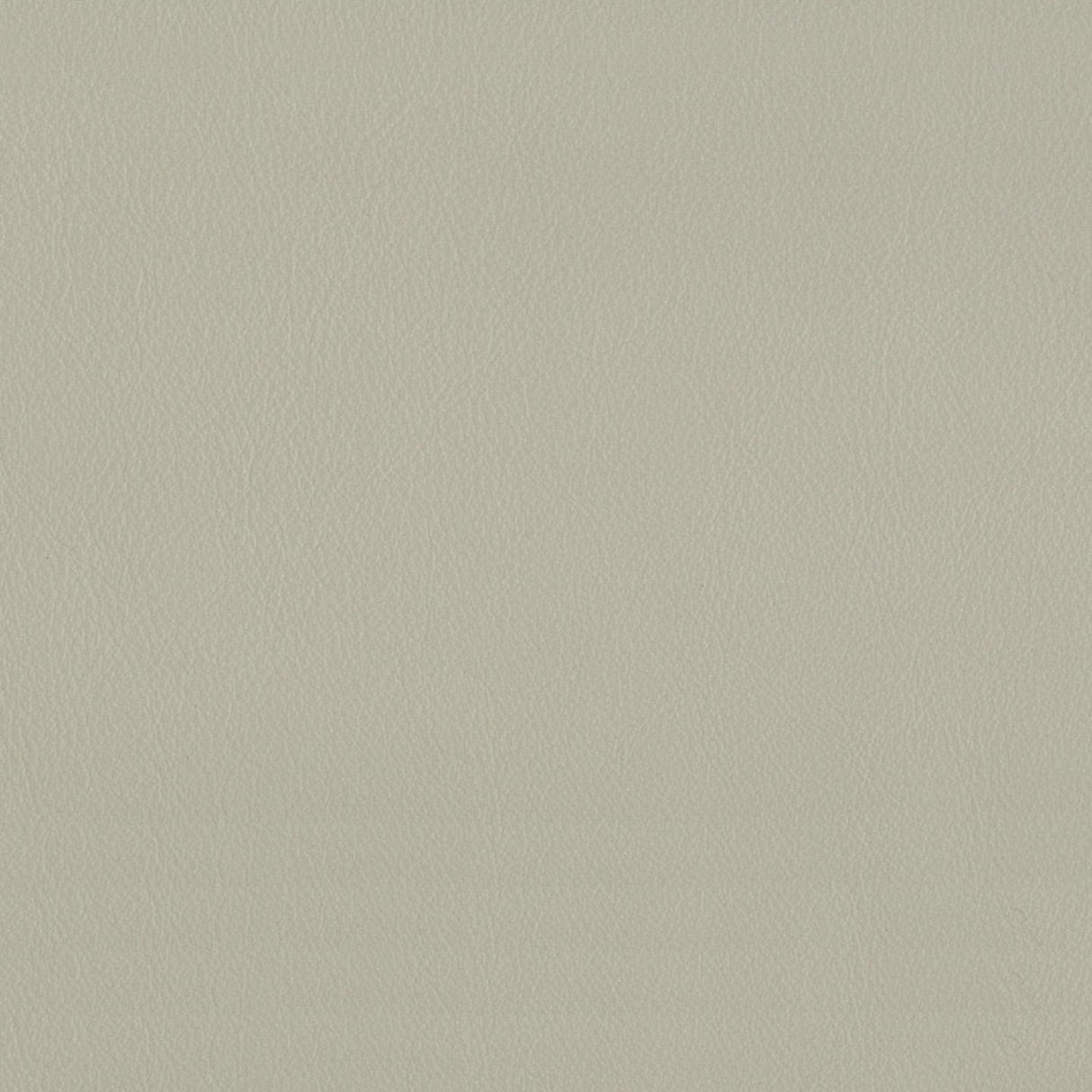 Touch 647064