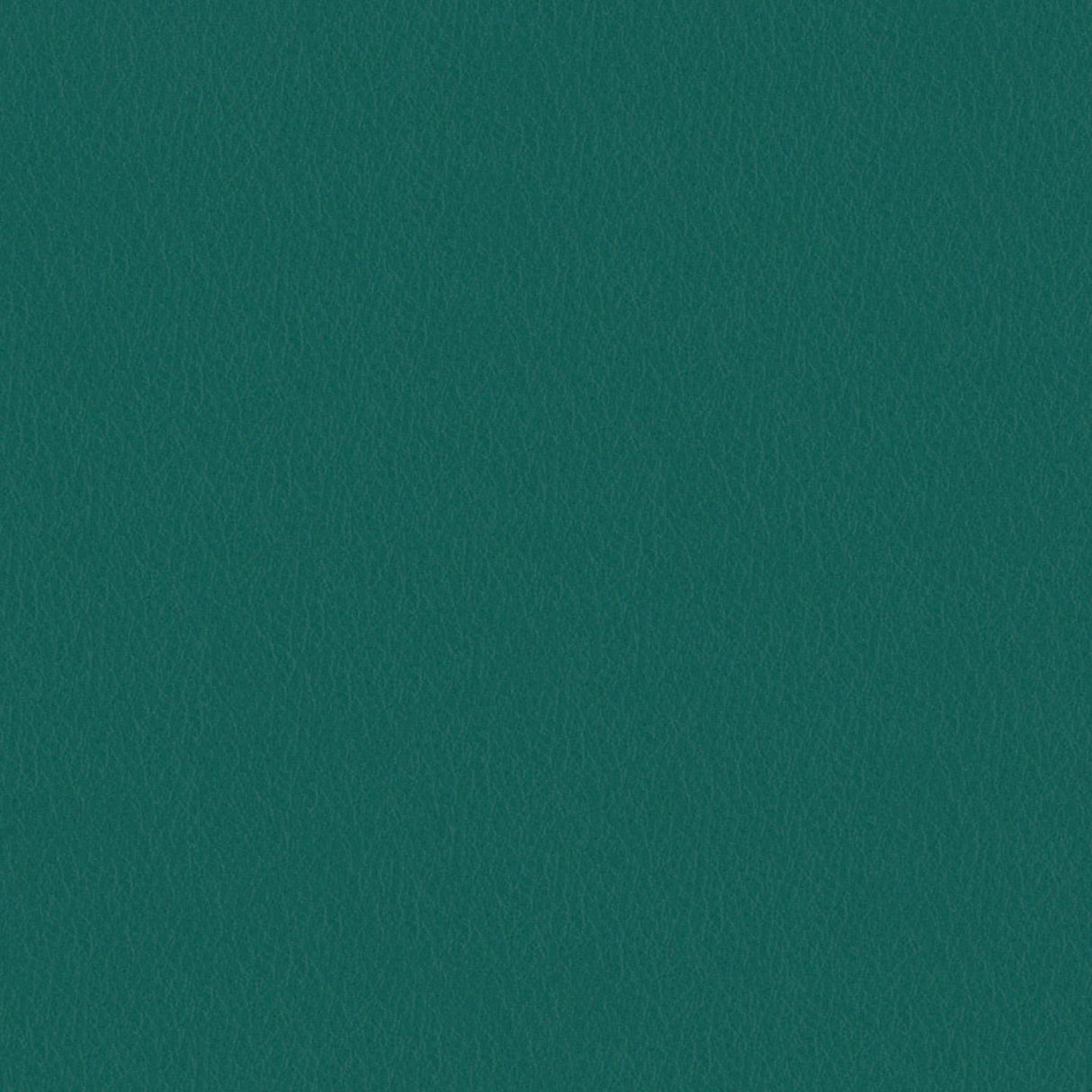 Touch 658058