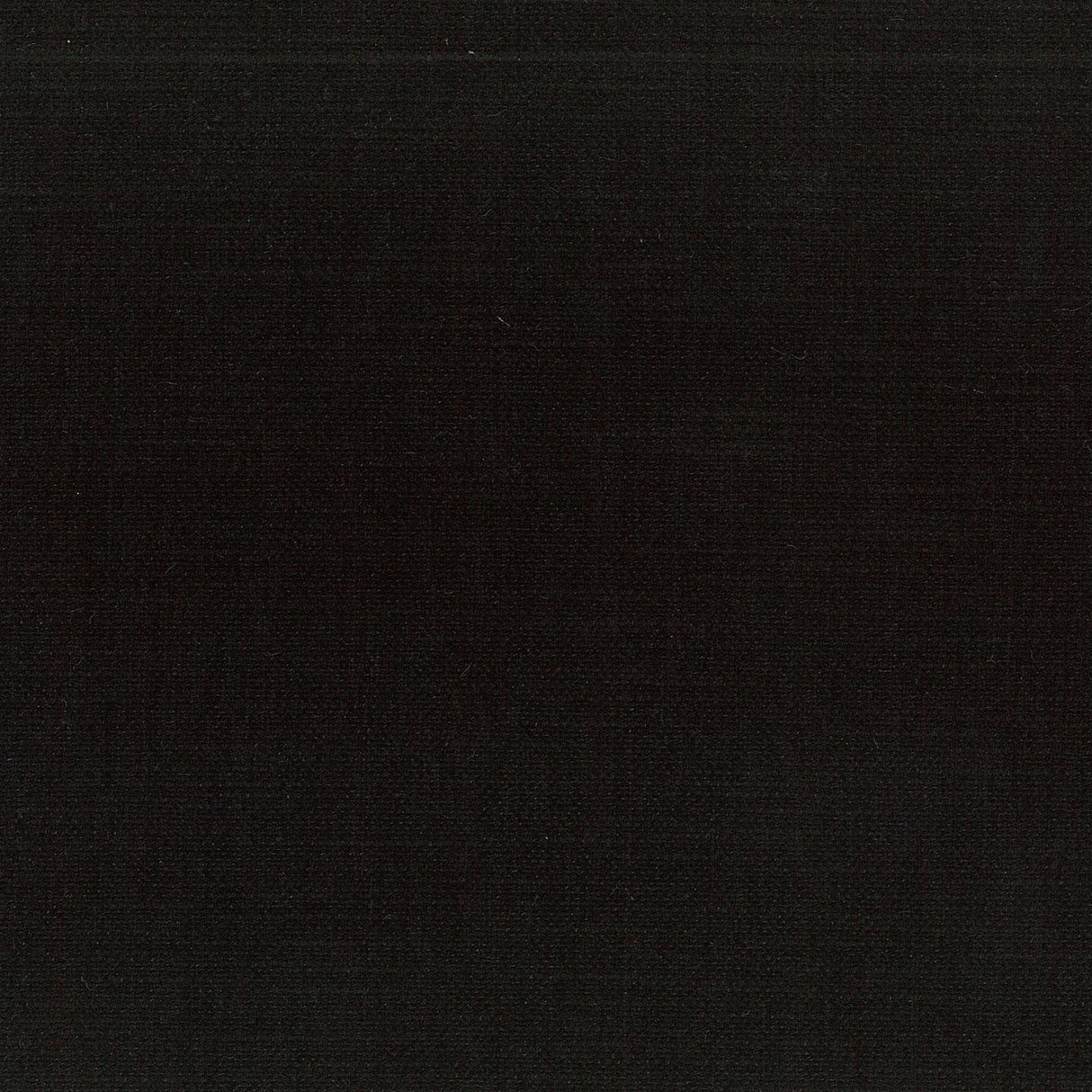 Tundra 02