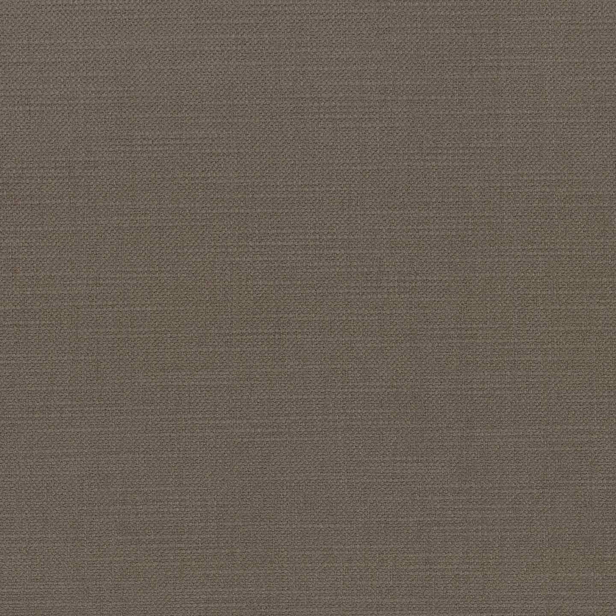 Tundra 44