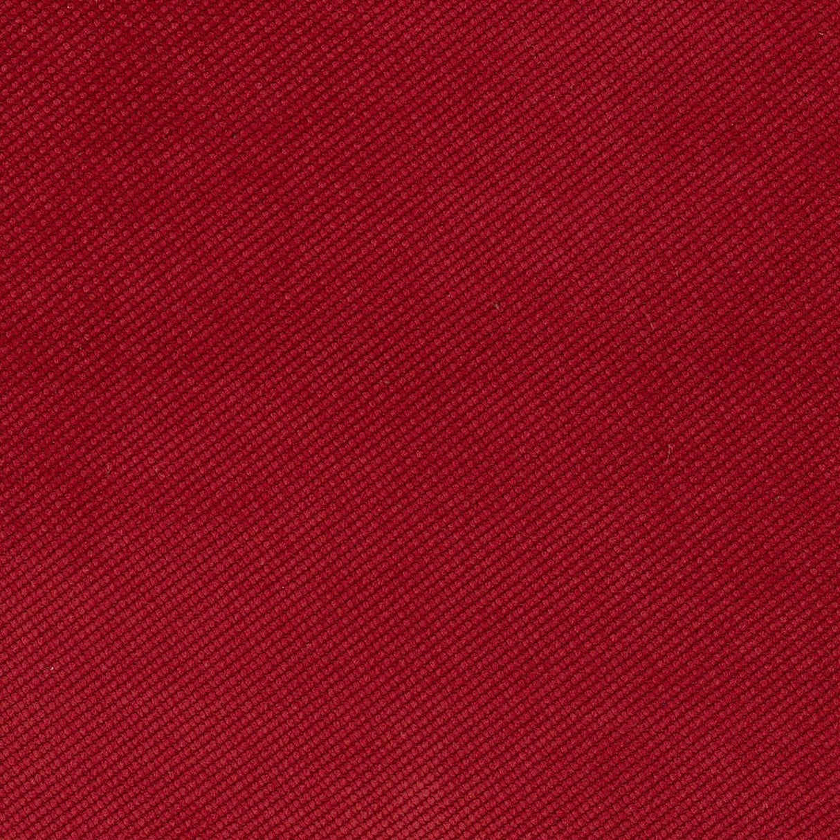 Verona 23