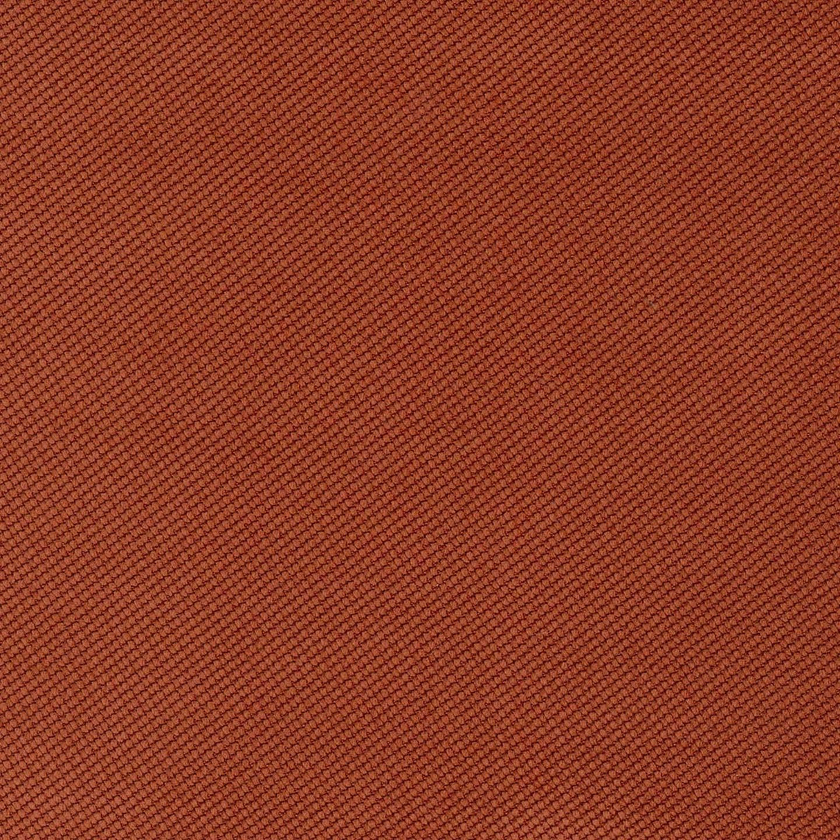 Verona 49