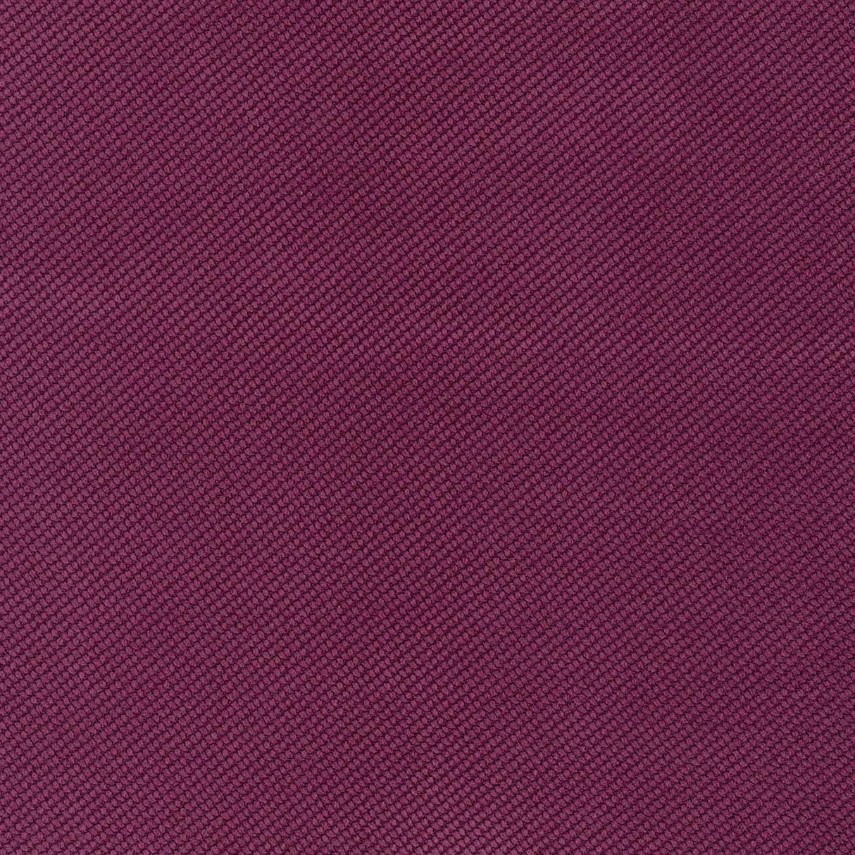 Verona 69